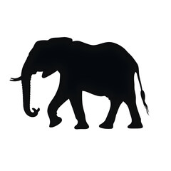 Obraz premium a elephant silhouette