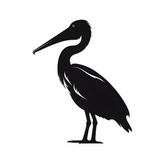 Fototapeta premium pelican silhouette