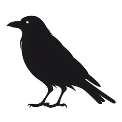 Obraz premium crow silhouette