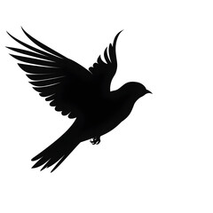Fototapeta premium flying bird silhouette