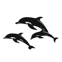 Obraz premium dolphins silhouette