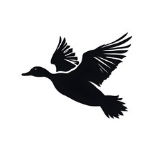 Obraz premium duck flying silhouette