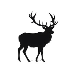 Fototapeta premium buck silhouette