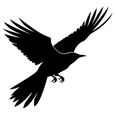 Obraz premium flying bird silhouette