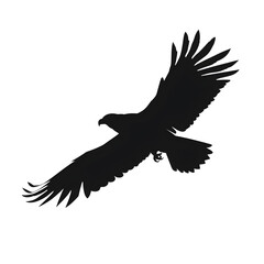 Naklejka premium an eagle flying silhouette