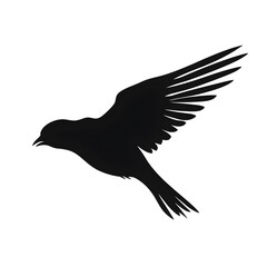 Obraz premium bird flight silhouette