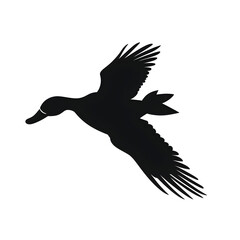 Fototapeta premium duck flying silhouette