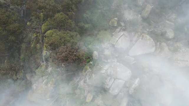 Mushroom Rocks Campground Mountain Fog VIC Australia 