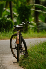 Rower