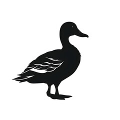 Fototapeta premium mallard duck silhouette