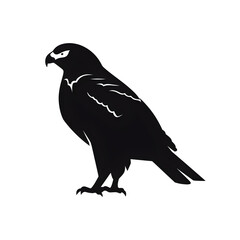 Fototapeta premium falcon silhouette