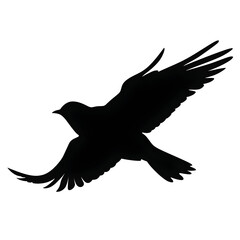 Obraz premium bird flying silhouette