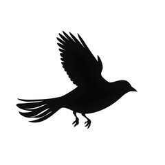 Obraz premium bird flight silhouette