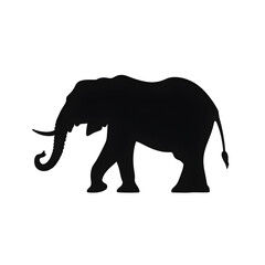Obraz premium elephant art silhouette
