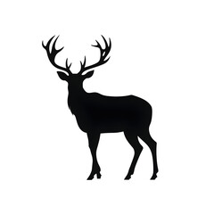 Obraz premium white tailed deer silhouette