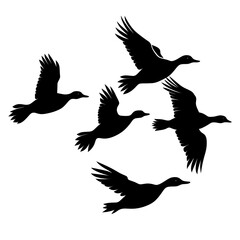 Obraz premium ducks flying silhouette