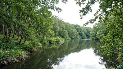 Fototapeta premium Tranquil lake nestled in a serene forest mirror like water mirroring lush greenery overhead