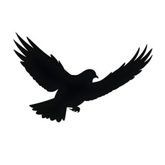 Obraz premium a dove silhouette