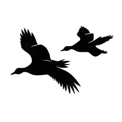 Obraz premium ducks flying silhouette