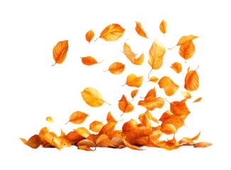Leaves floating in autumn breeze nature scenic isolated on transparent background - Generative AI