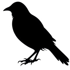 Obraz premium bird clip art silhouette