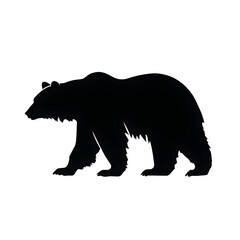 Fototapeta premium grizzly silhouette