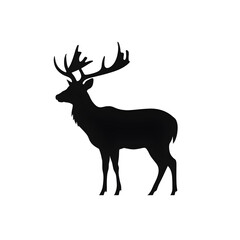 Obraz premium white tailed deer silhouette