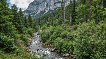 Tranquil mountain stream flowing through dense forest with majestic cliffs