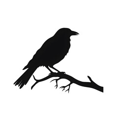bird silhouette
