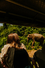Safari na Sri Lance słoń © Katarzyna