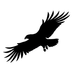 Fototapeta premium eagle flying silhouette
