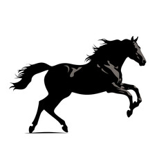 racehorse silhouette
