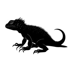 Fototapeta premium lizard silhouette