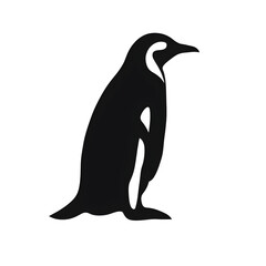 Obraz premium a penguin silhouette