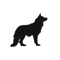 Obraz premium wolf silhouette