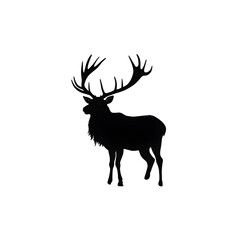 Obraz premium elk silhouette