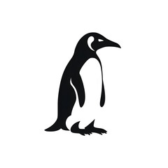 Fototapeta premium a penguin silhouette
