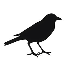 bird clipart silhouette