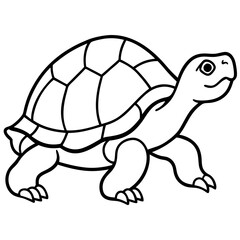 Turtle Vector Illustration. High-Quality Sea and Land Turtle Graphics for Designers.