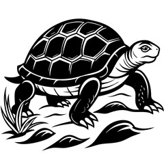 Turtle Vector Illustration. High-Quality Sea and Land Turtle Graphics for Designers.