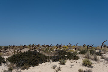 Algarve anchor beach