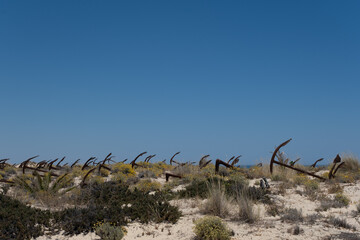 Algarve anchor beach