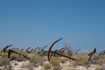 Algarve anchor beach