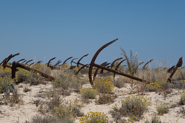 Algarve anchor beach