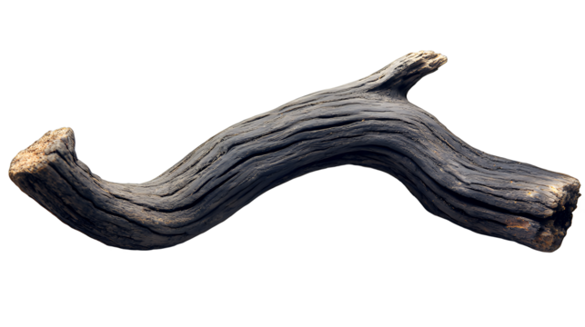 a piece of driftwood that looks like a tree branch PNG image, PNG file, Generative art.