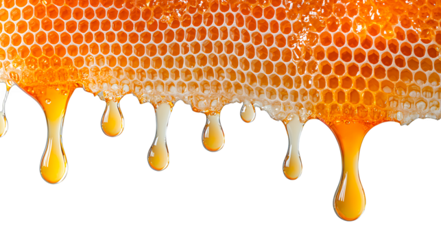 honey dripping from a honeycomb on a transparent background, PNG image, PNG file, Generative art.
