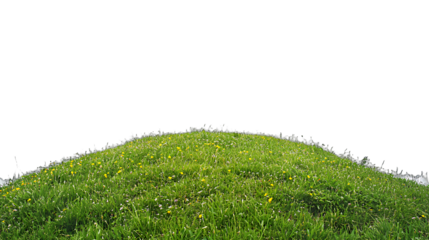 a grassy hill covered in green grass and flowers PNG image, PNG file, Generative art.