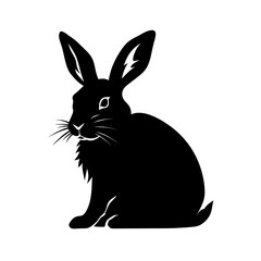 Obraz premium bunny silhouette