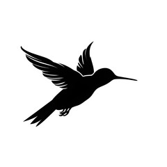Obraz premium hummingbird silhouette