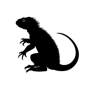 black iguana silhouette on white background clip art preview